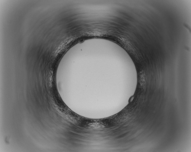 X0000100500544200806271301