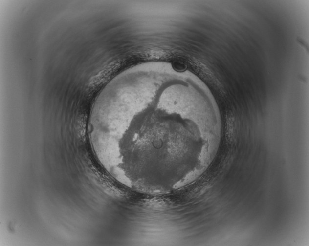 X0000100500545200806271301