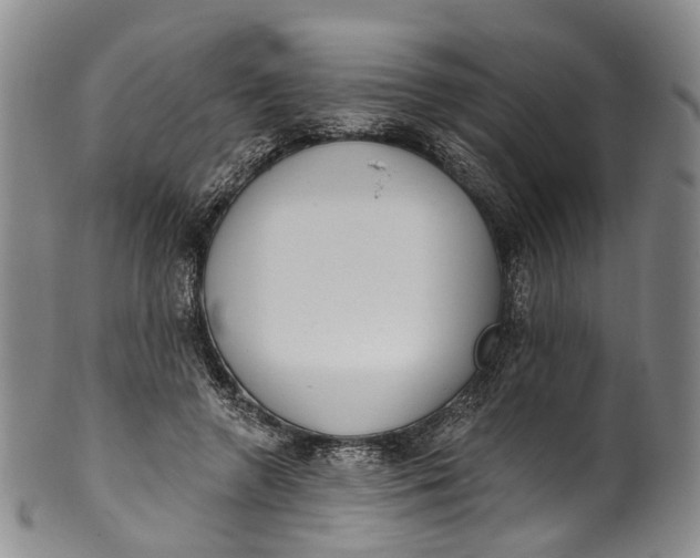 X0000100500546200806271301