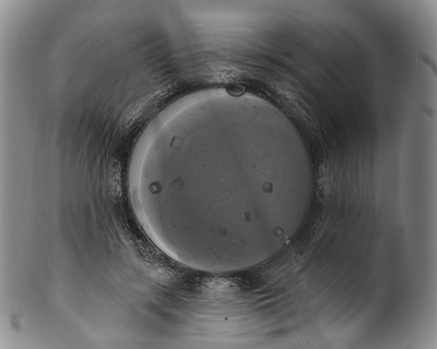 X0000100500547200806271301