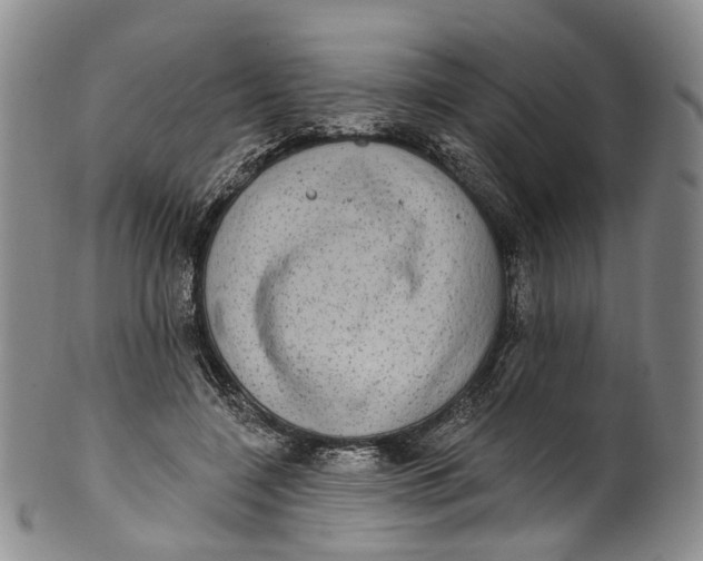 X0000100500548200806271301