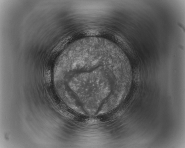 X0000100500549200806271301