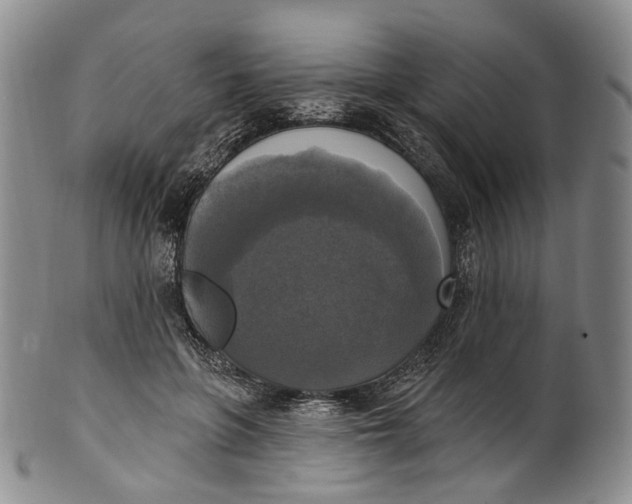 X0000100500551200806271301