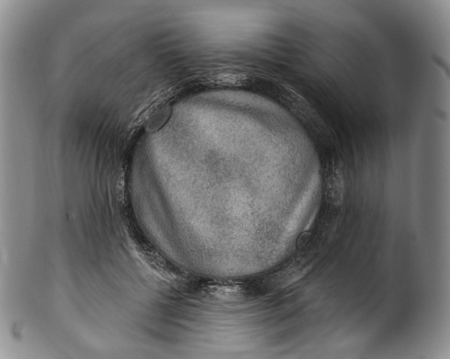 X0000100500552200806271301