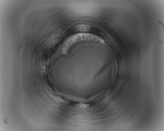 X0000100500553200806271301