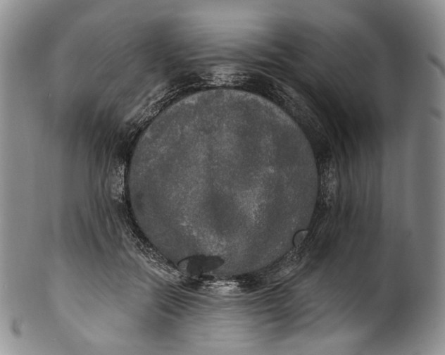 X0000100500554200806271301