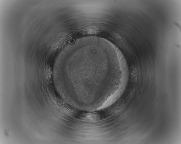 X0000100500555200806271301