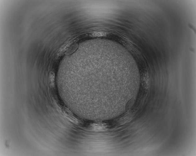 X0000100500556200806271301