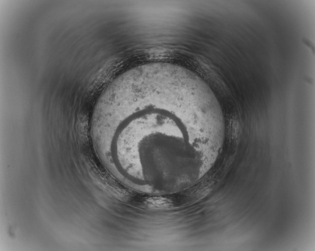 X0000100500557200806271301