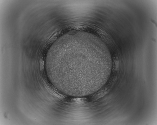 X0000100500558200806271301