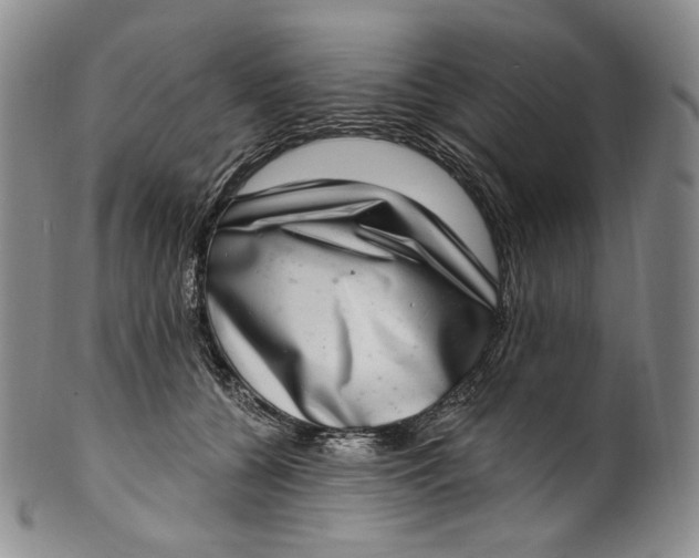 X0000100500560200806271301