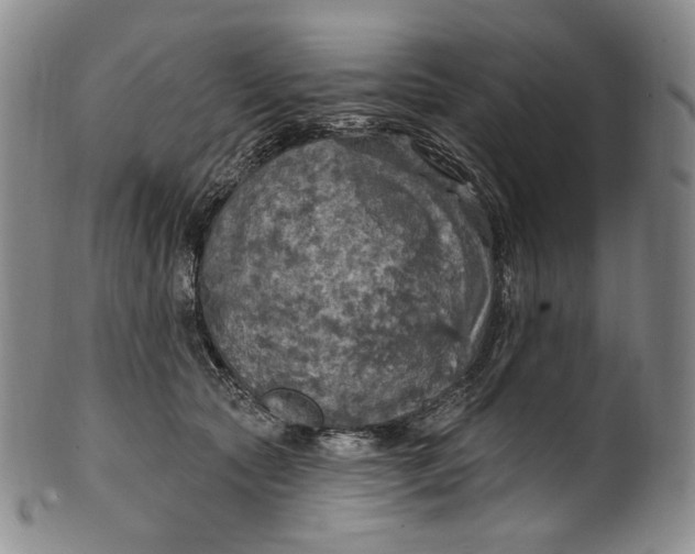 X0000100500561200806271301