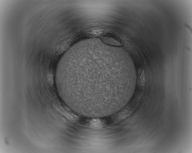 X0000100500562200806271301