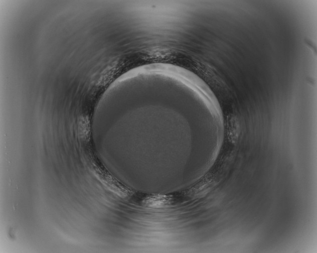 X0000100500563200806271301