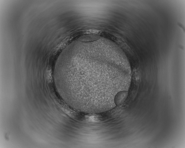 X0000100500564200806271301