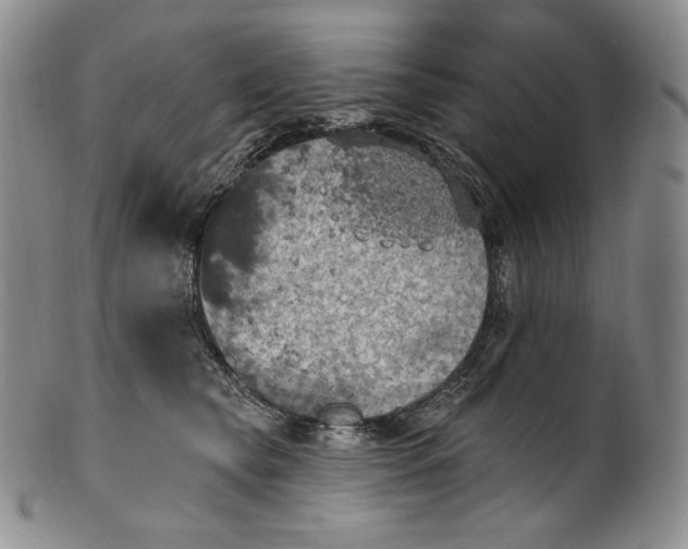 X0000100500565200806271301