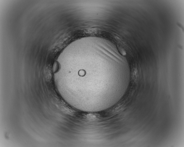 X0000100500566200806271301