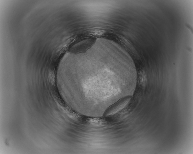 X0000100500568200806271301