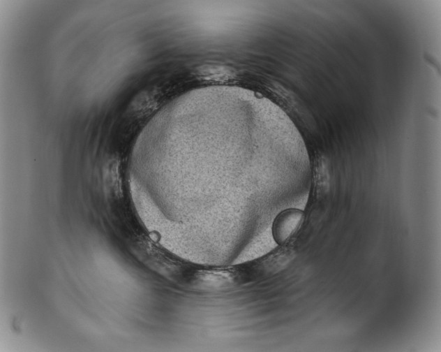 X0000100500572200806271301