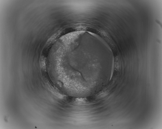 X0000100500573200806271301