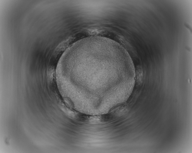 X0000100500574200806271301