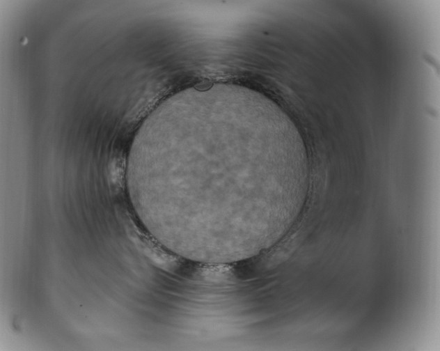 X0000100500576200806271302