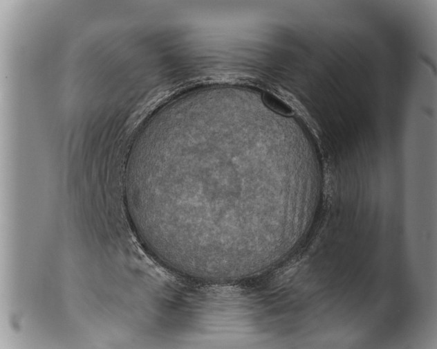 X0000100500577200806271301