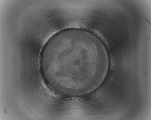 X0000100500580200806271301