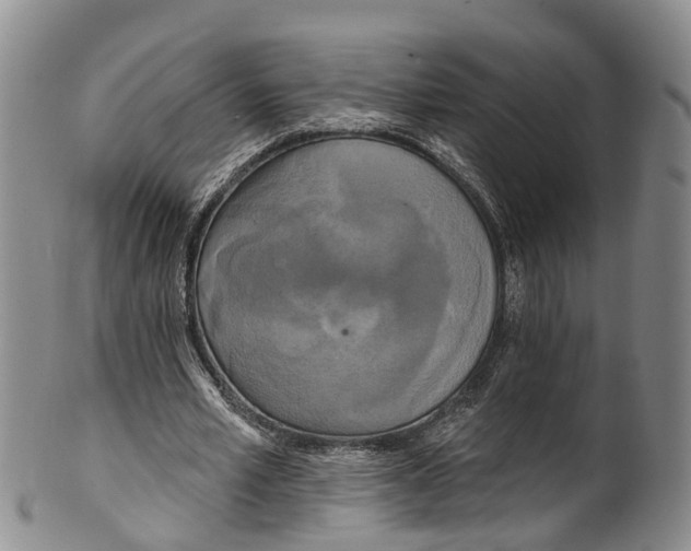 X0000100500581200806271301