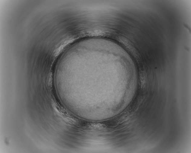 X0000100500583200806271301