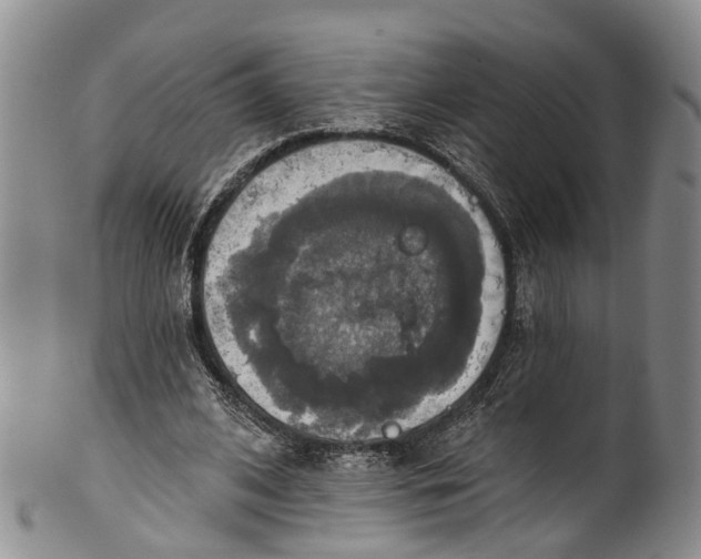 X0000100500584200806271301