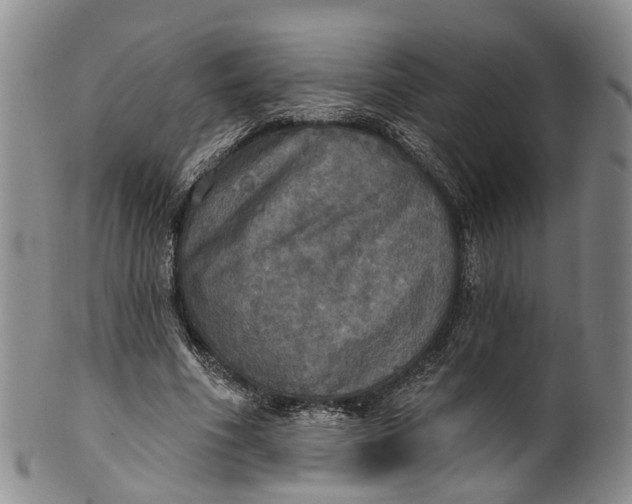 X0000100500586200806271301