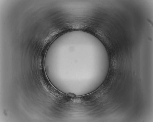 X0000100500587200806271301