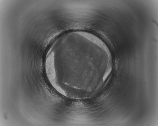 X0000100500588200806271301