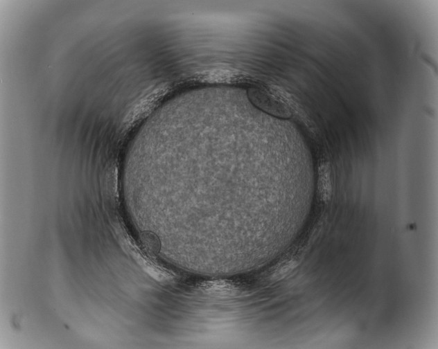 X0000100500589200806271301