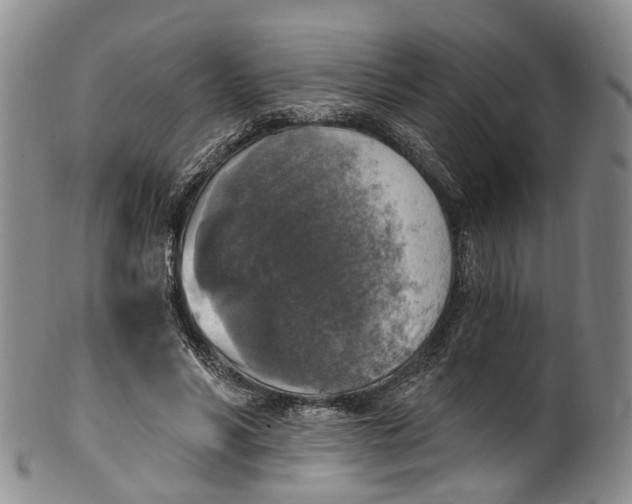 X0000100500590200806271301