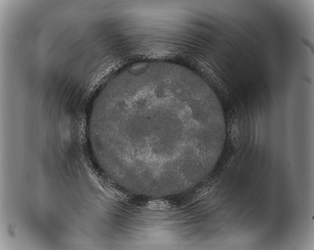 X0000100500591200806271301