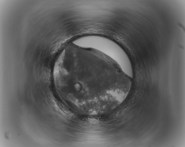 X0000100500592200806271301