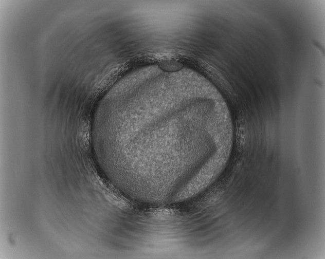 X0000100500593200806271301