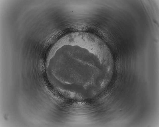 X0000100500594200806271301