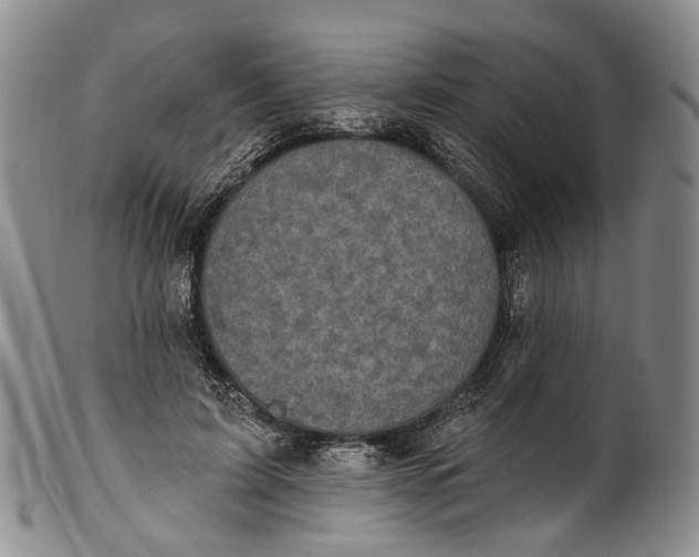 X0000100500595200806271301