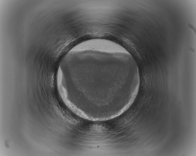 X0000100500596200806271301