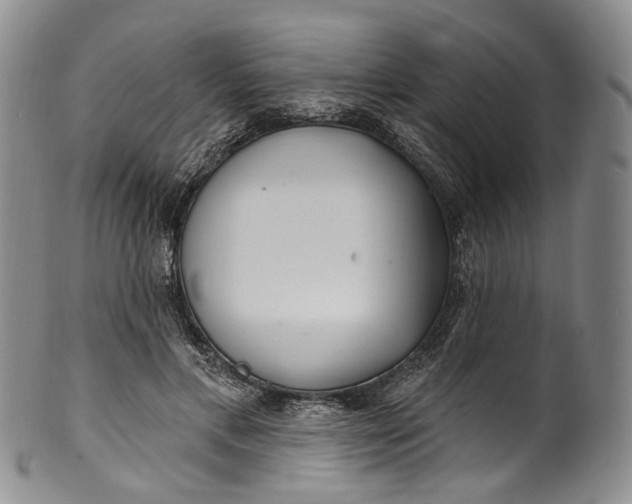 X0000100500597200806271301