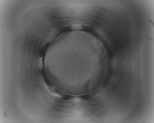 X0000100500598200806271301