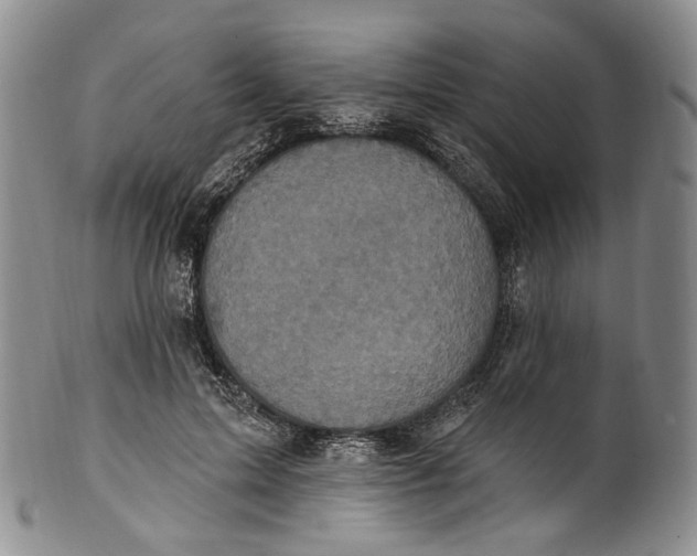 X0000100500599200806271300