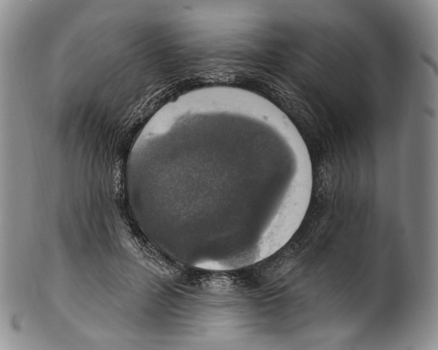 X0000100500600200806271300