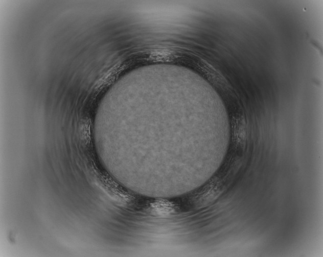 X0000100500603200806271300