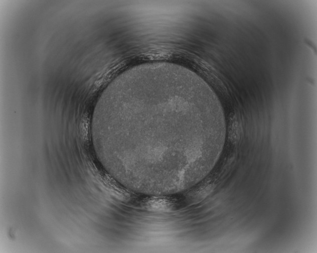 X0000100500604200806271300