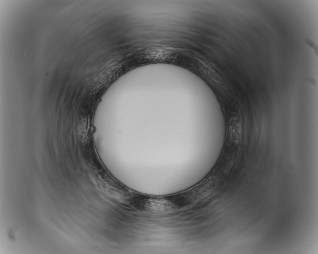 X0000100500605200806271300