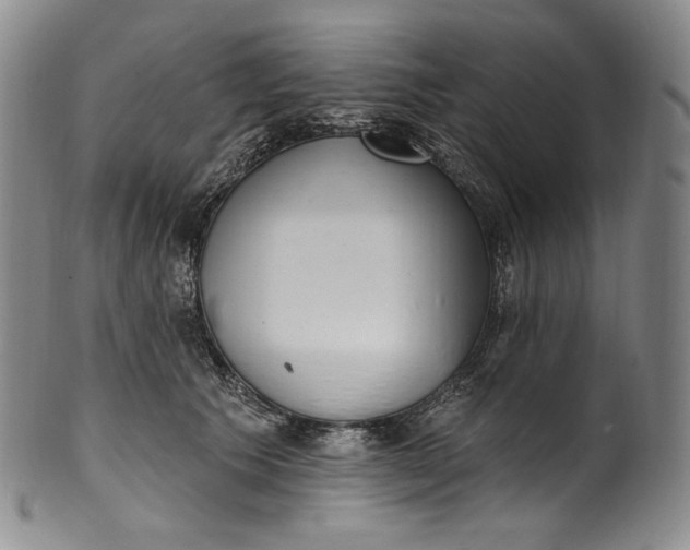 X0000100500609200806271300